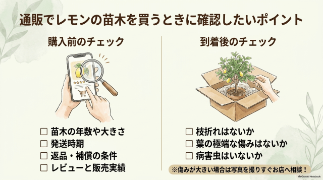 通販でレモンの苗木を買うときに確認したいポイント