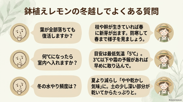 鉢植えレモンの冬越しでよくある質問