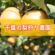 千葉の梨狩り農園