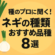 種のプロに聞く！ネギの種類とおすすめ品種8選