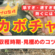 カボチャの収穫時期と見極めのコツ！早すぎ・遅すぎを防ぐには【プロ解説】