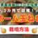 【家庭菜園のプロが教える】3カ月で収穫！ホーム玉ねぎの栽培方法